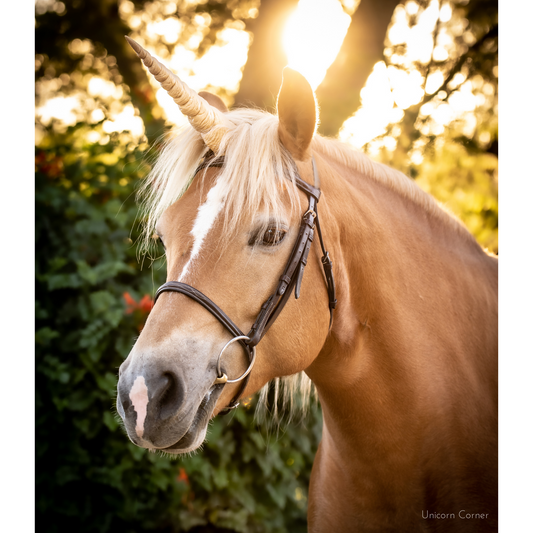 Textured Unicorn Horn for Horses and Ponies