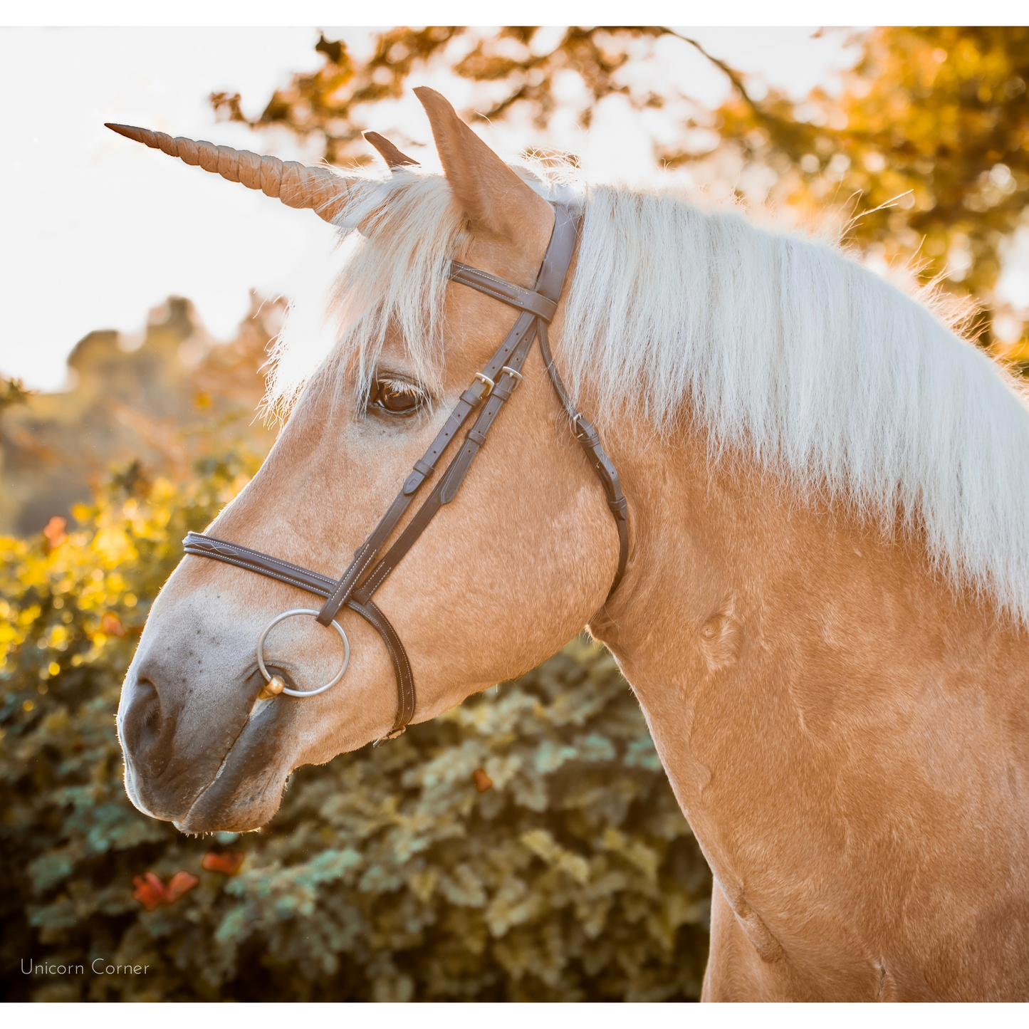 Textured Unicorn Horn for Horses and Ponies