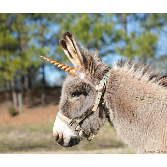 Unicorn Horn for Horses with Adjustable Straps / 8 inch Horn
