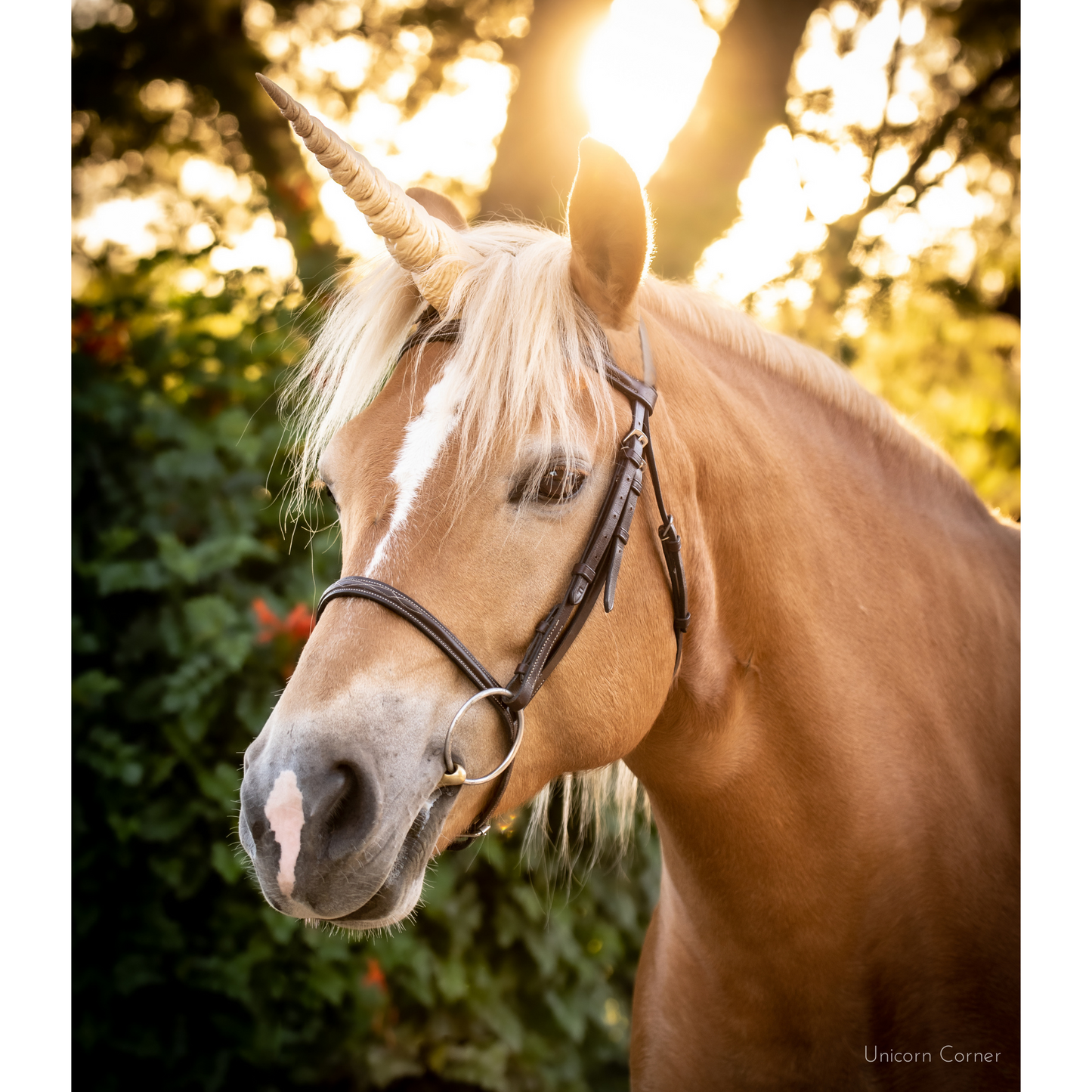 Textured Unicorn Horn for Horses and Ponies