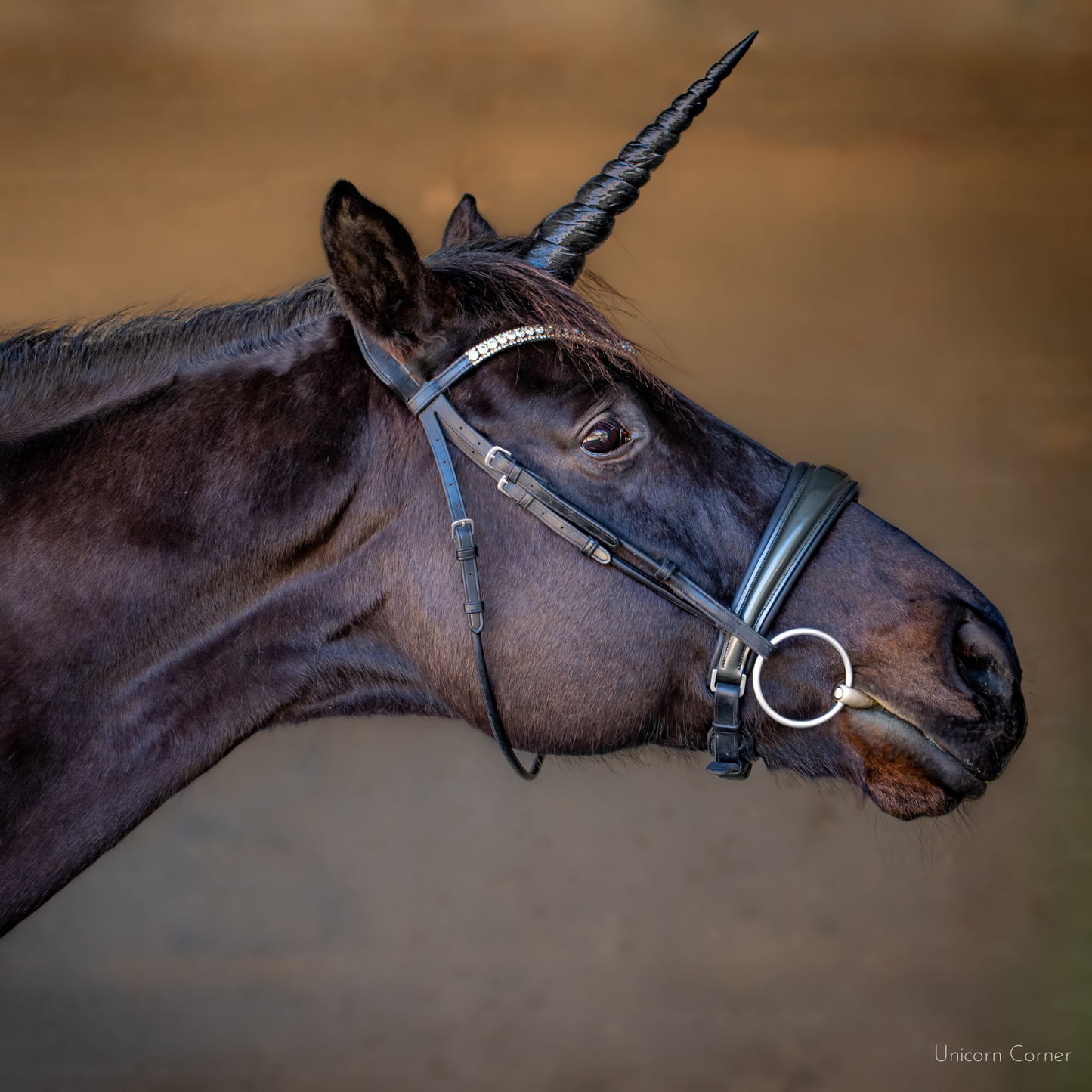 Textured Unicorn Horn for Horses and Ponies