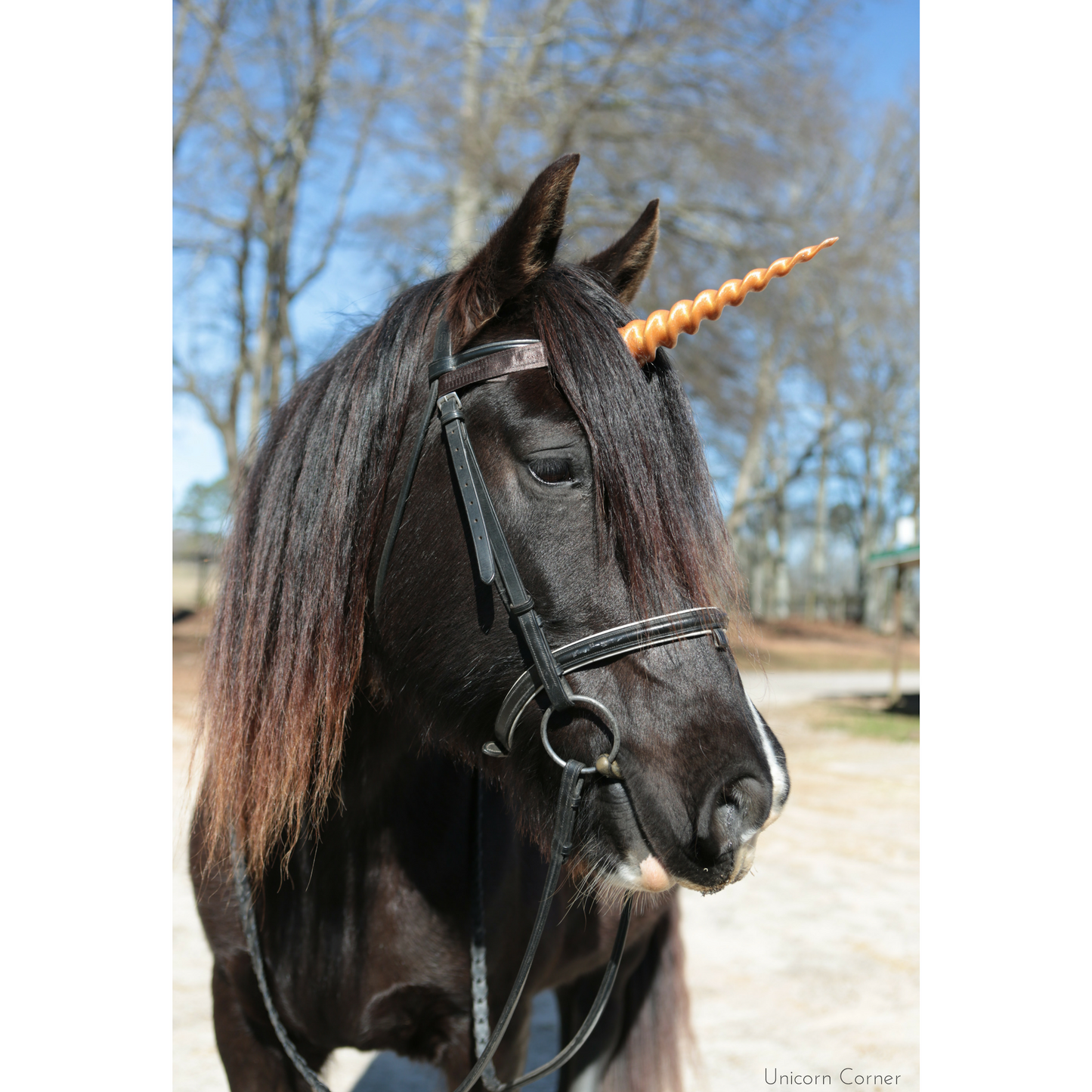 Unicorn Horn for Horses with Adjustable Straps / 8 inch Horn